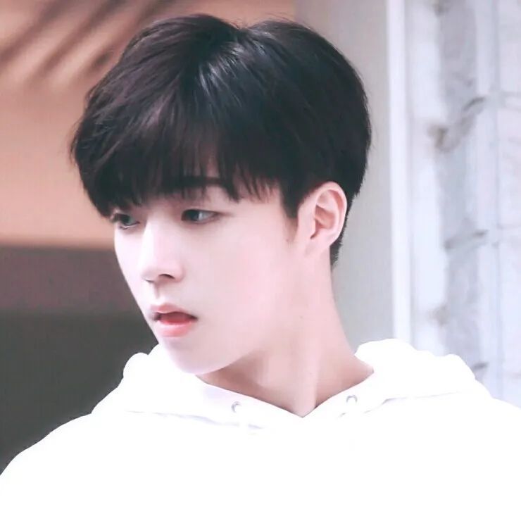 明星头像手绘代孕妈妈包选性别生的男孩_明星头像帅哥