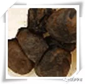 孕妈助孕服务生的婴儿多久大便一次，孕妈助孕服务生的婴儿多久拉一次屎