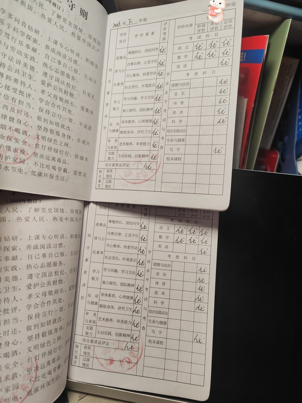 代怀代生套餐生的孩子100分家长评语_100分家长评语怎么写